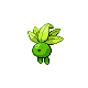Oddish DP variocolor