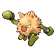 Primeape DP variocolor