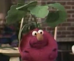 Elmo-radish