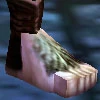 Haflingfoot.jpg