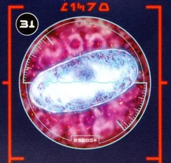 Midi-Chlorianer