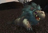 Lion Seal