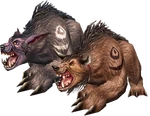 Bear Form