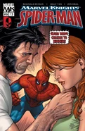 Marvel Knights Spider-Man Vol 1 13
