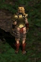 Amazon-Breast Plate-Back
