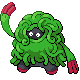 Tangrowth DP variocolor hembra