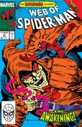 WebofSpider-Man47