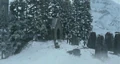 Stone Circle Winter.jpg