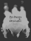 FireElemental nopic