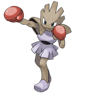200px-Hitmonchan.png