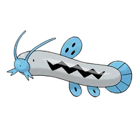 Barboach