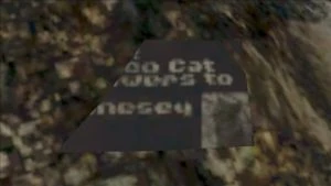 120-Medium.jpg