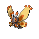 Mothim Pt