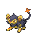 Luxio Pt variocolor hembra