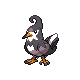 Staravia DP hembra