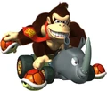 DKMKDS2