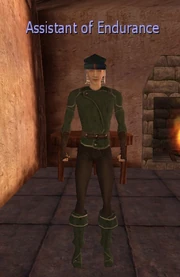 Assistant of Endurance