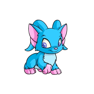 Acara6.png