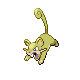Rattata Pt variocolor