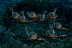 Diplodocus Hatchlings