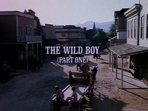 Title.thewildboy1