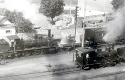 CP25MDR