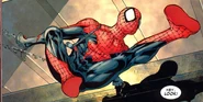 Spider-Man (Earth-58163) 001
