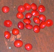 Indianredseeds