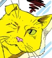PG's cat 02
