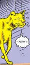 PG's cat 03