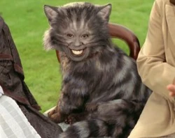 Whoopiegoldberg-cheshire