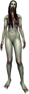 Bestiary Bruxa full