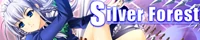 Sf-2nd-banner.jpg