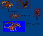 Dragonhawkline