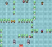Goldenrod Gym