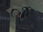 1223689721 Stalker Attack
