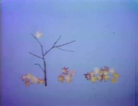 Lastleaf.jpg