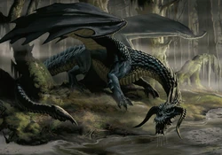 4e black dragon