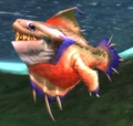 Northern Barbfish.jpg
