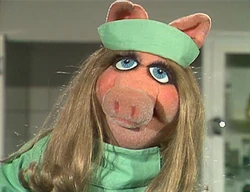Nursepiggy