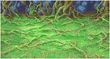 FFII Background Tropical Island