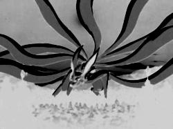 250px-Ten Tails.png