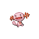 Wooper Pt variocolor