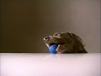 Fay.1ball