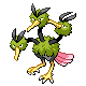 Dodrio Pt variocolor