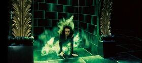 Bella Flooing