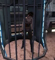Bastila-Käfig.jpg