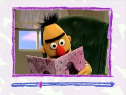 Bertbook-pigeonsoftheworld