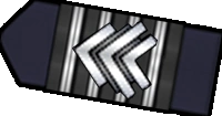 Mirror capt.png