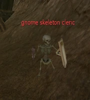 Skeleton